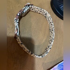 Leopard Print Dog Collar Boots and Barkley